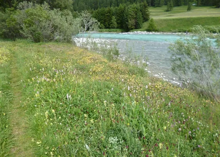 Apartamento Chesa Blais By Interhome